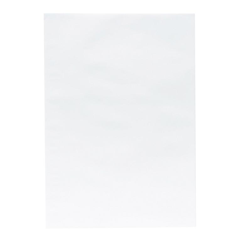 Bolsa Blanca 229x324 mm 100g (250 Ud.)