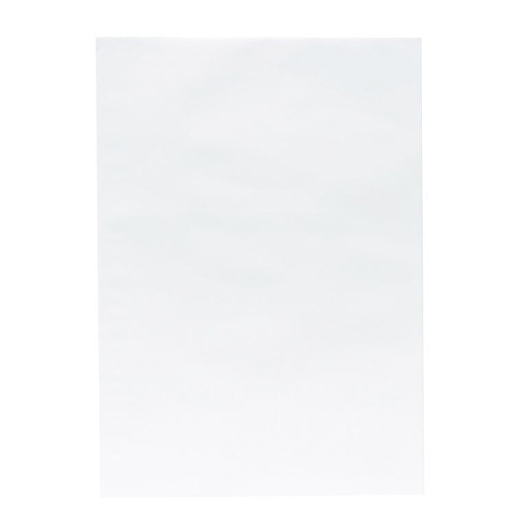 Bolsa Blanca 250x353 mm 100g (250 Ud.)