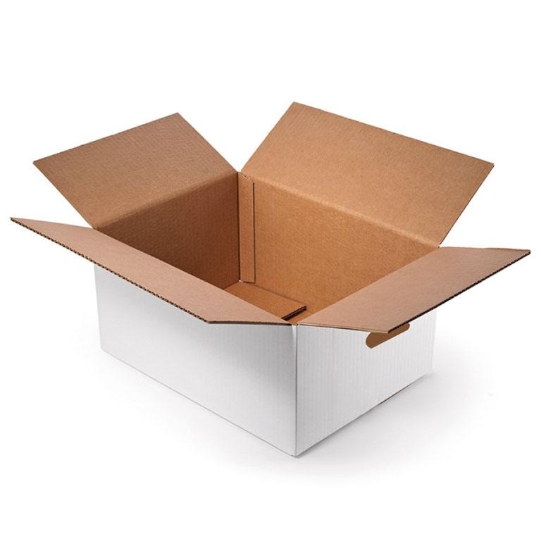Caja Cartón Doble Canal 42x20x30 cm