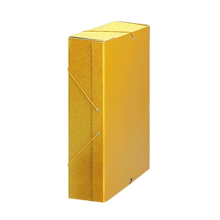 Karman Carpeta Proyecto Cartón Lomo 90 mm Amarillo