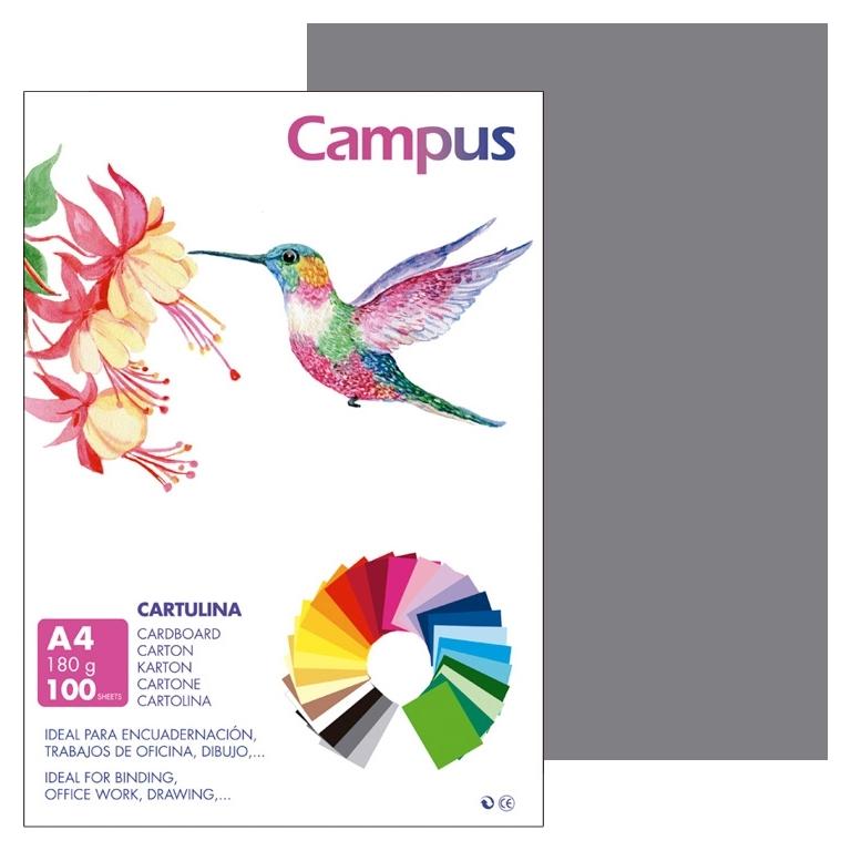 Campus Cartulina A4 180Gr Gris Plomo (100)