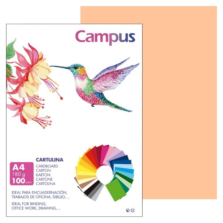 Campus Cartulina A4 180Gr Carne (100)