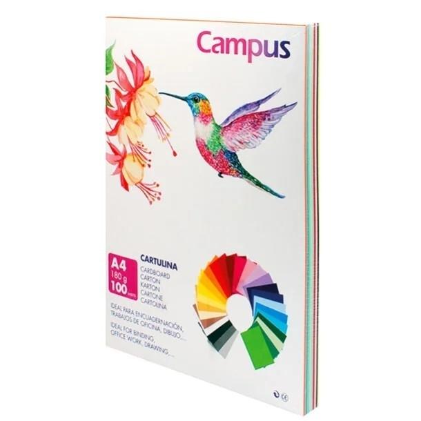 Campus Cartulina A4 180Gr Surtido (100)