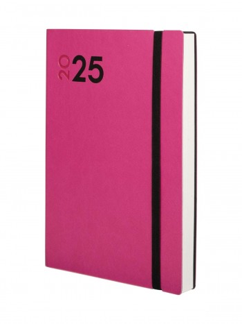 AGENDA MARA Y10 1DP 2025 FUCSIA CAT+