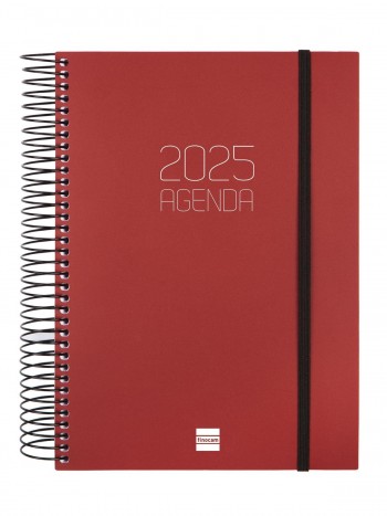 AGENDA OPAQUE E10 1DP 2025 BURDEOS+