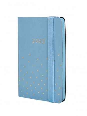 AGENDA JOY F2 SVH 2024 CONFETI CAT+