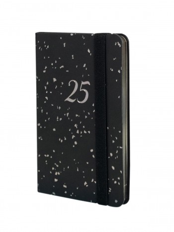 AGENDA JOY F2 SVH 2025 FLASH CAT+