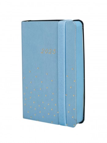 AGENDA JOY F2 1DP 2024 CONFETI CAT+