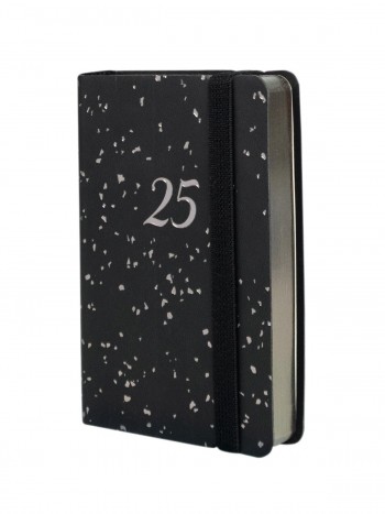 AGENDA JOY F2 1DP 2025 FLASH CAT+