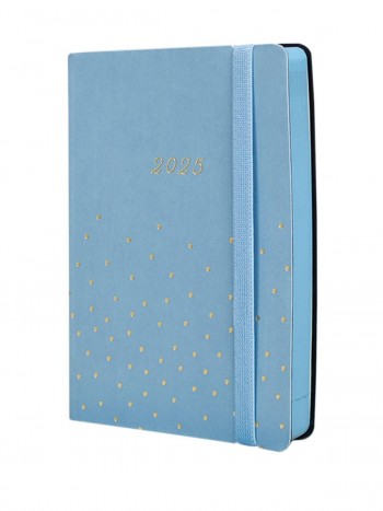 AGENDA JOY F4 1DP 2024 CONFETI CAT+