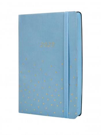 AGENDA JOY FA5 1DP 2024 CONFETI CAT+