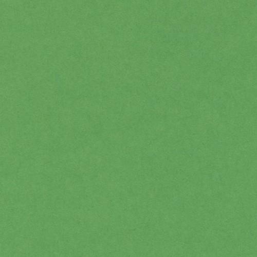 Canson Iris Vivaldi Cartulina A3 185Gr Verde Billar