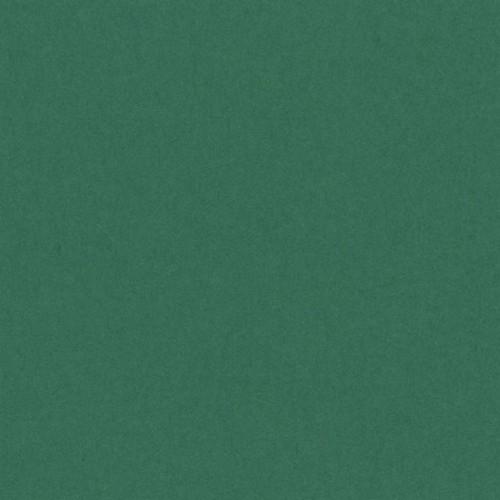 Canson Iris Vivaldi Cartulina A3 185Gr Verde Abeto
