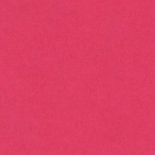 Canson Iris Vivaldi Cartulina A4 185Gr Fucsia